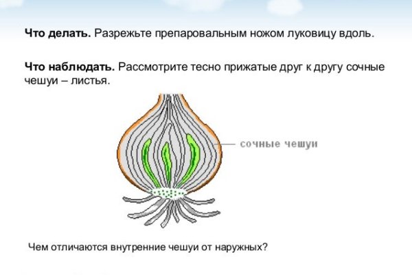 Омг сайт тор